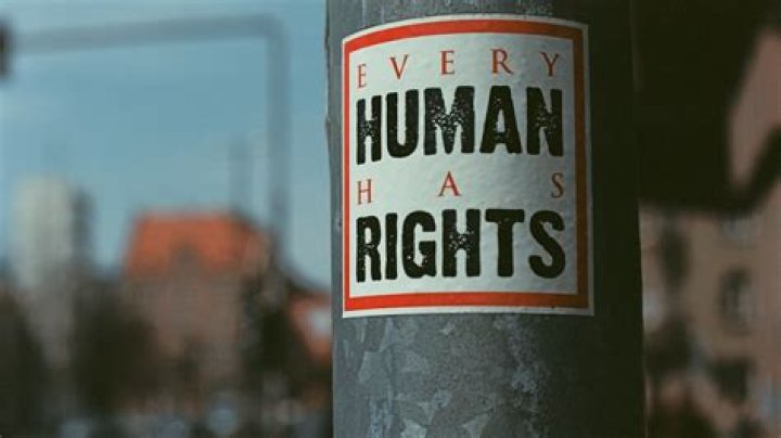 What are 2 human rights