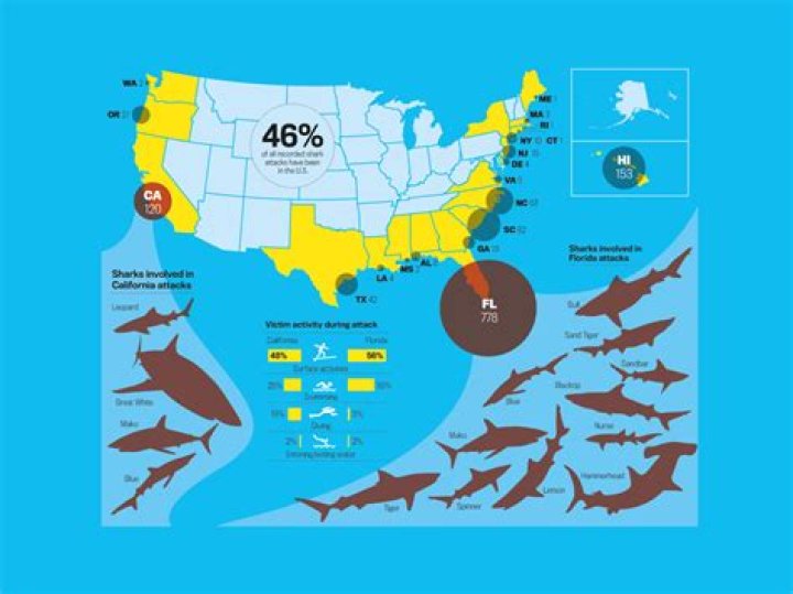 What area has the most shark attacks