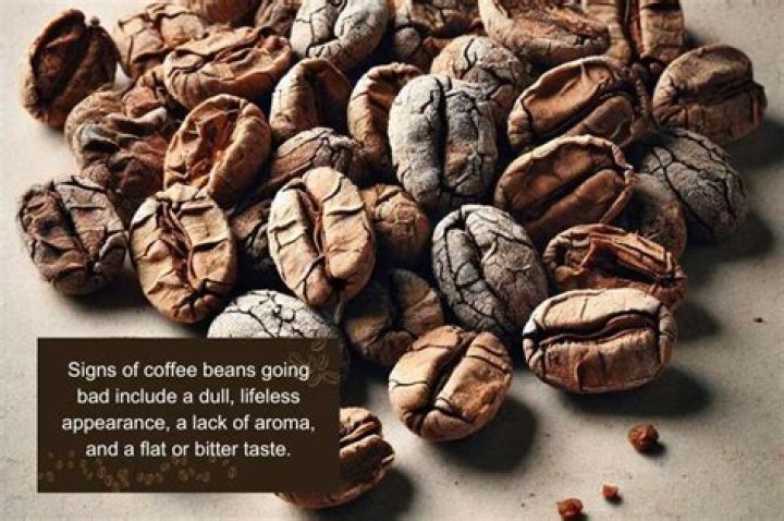 What can I do with stale coffee beans