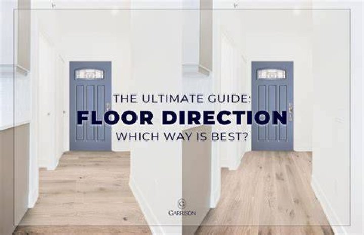 What direction should a money frog face