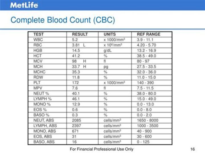 What does a complete blood count show