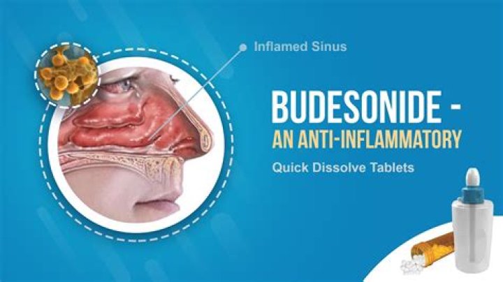 What does budesonide/formoterol do