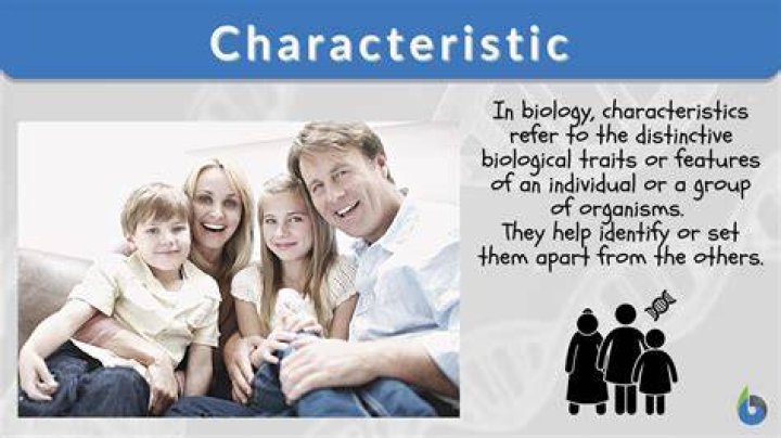 What does characteristics mean in science