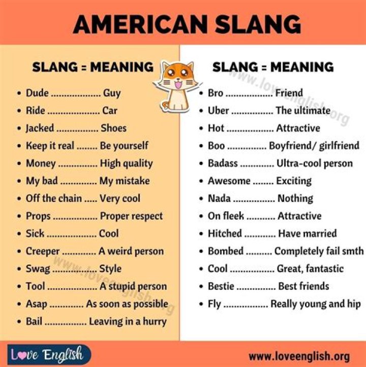 What does digs mean slang