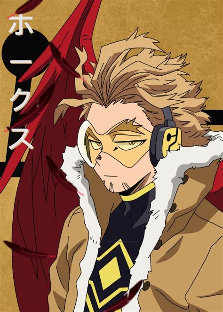 What does Hawks look like