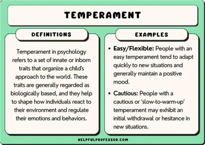 What does it mean if someone is temperamental