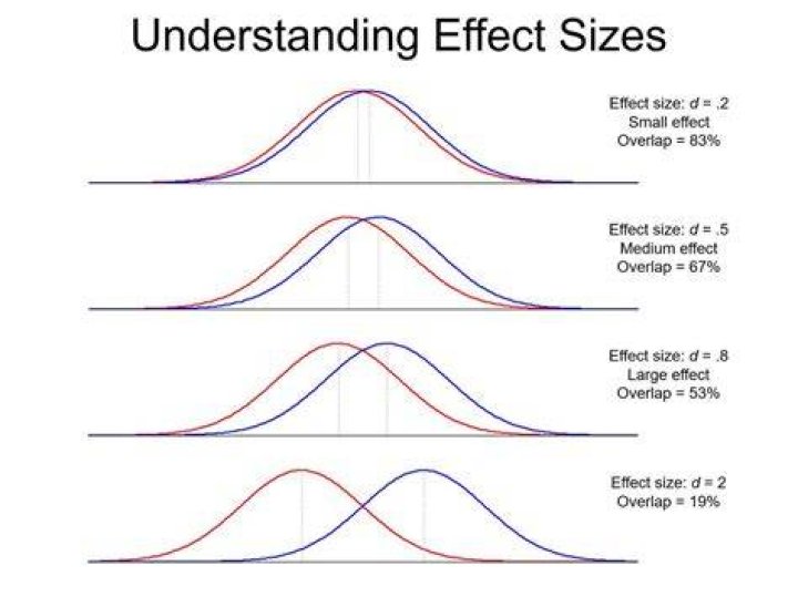 What does the effect size tell us