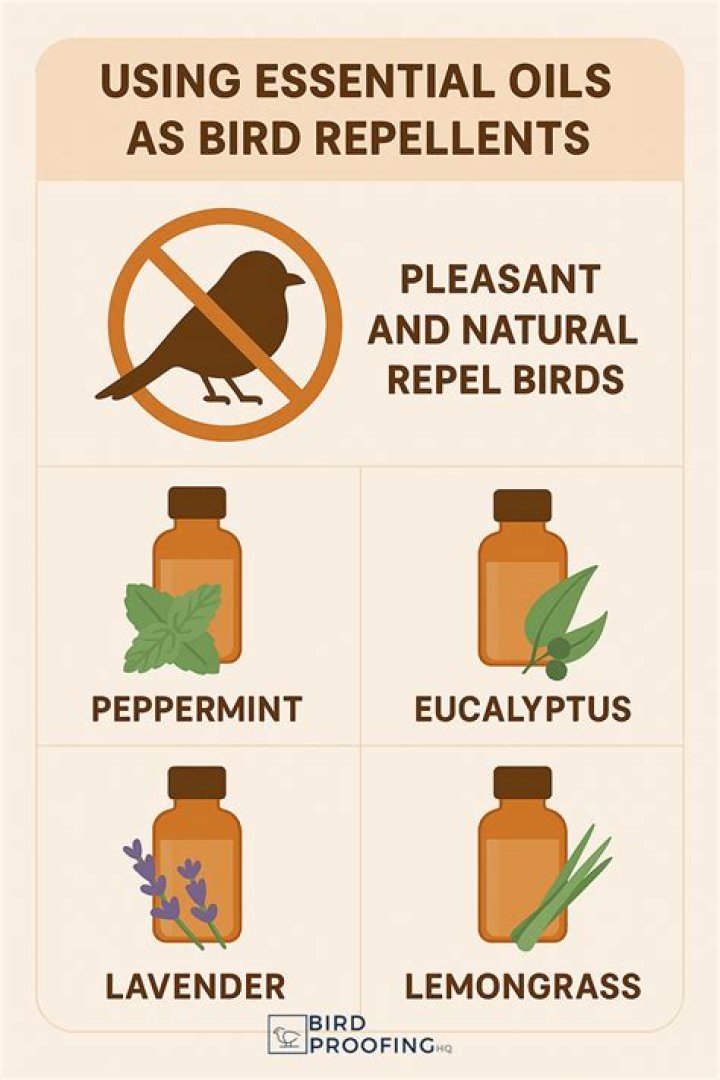 What essential oils repel squirrels