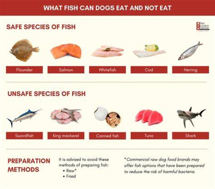 What fish is not edible?