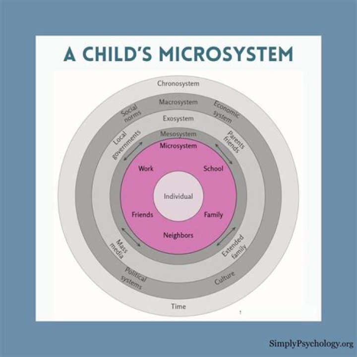 What is an example of a microsystem
