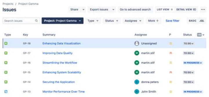What is an issue project management