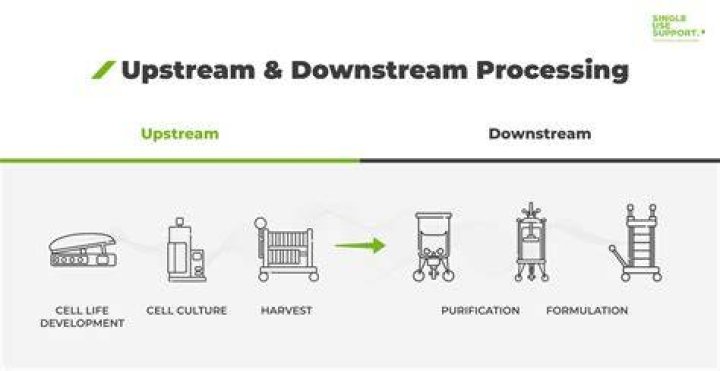 What is an Nginx upstream