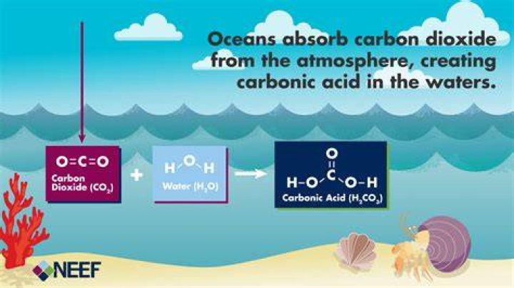 What is an ocean bath
