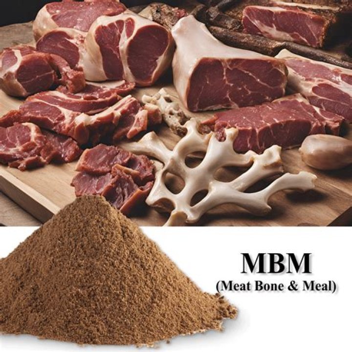 What is bone meal for in Minecraft