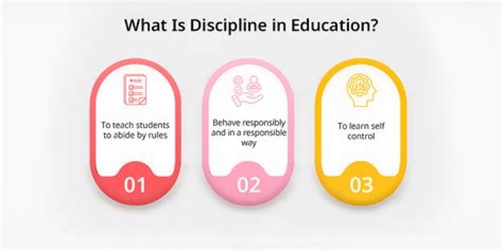 What is discipline short note