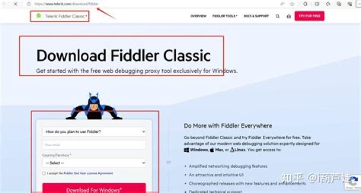 What is Fiddler Web debugging tool