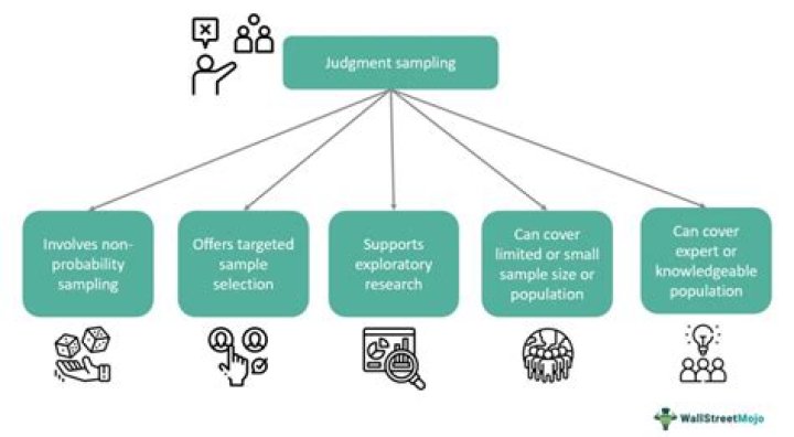 What is Judgement sampling business