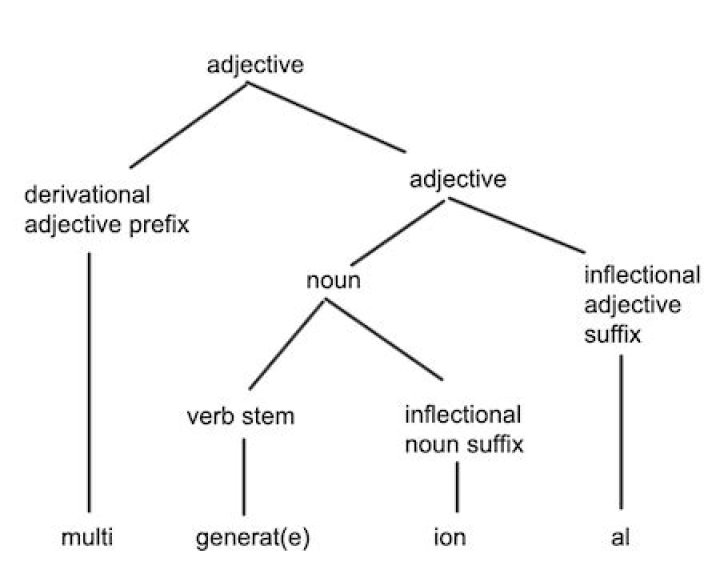 What is morphological tree