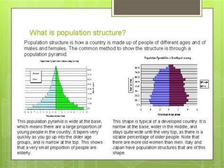 What is population structure