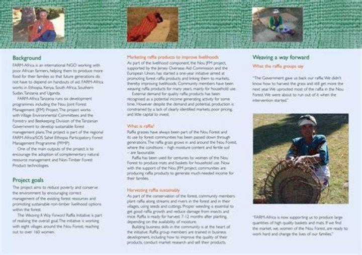 What is raffia work