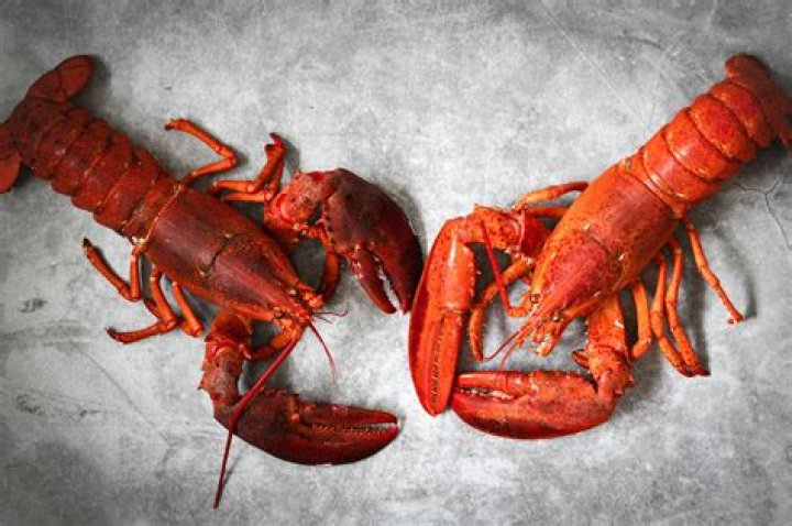 What is the difference between crawfish bisque and crawfish etouffee?
