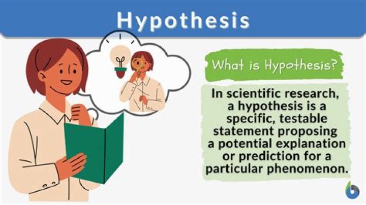 What is the hypothesis in quantitative research