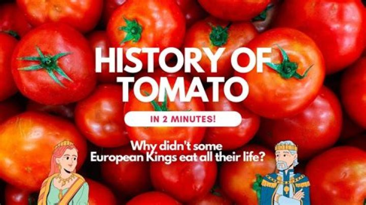 Where do our tomatoes come from