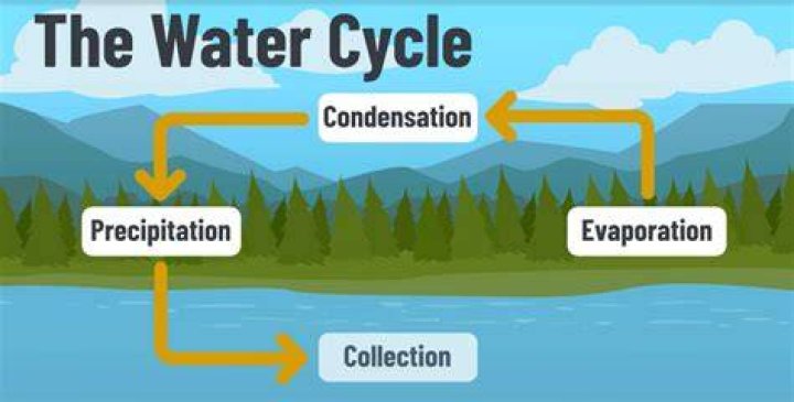 Where does the water come from in a tiny house