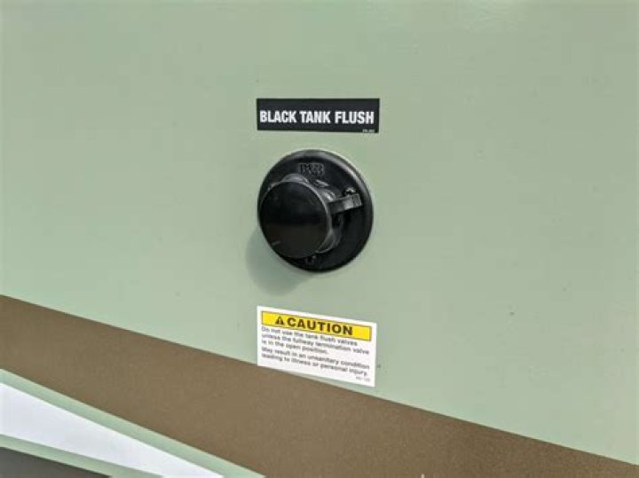 Where is black tank flush located?