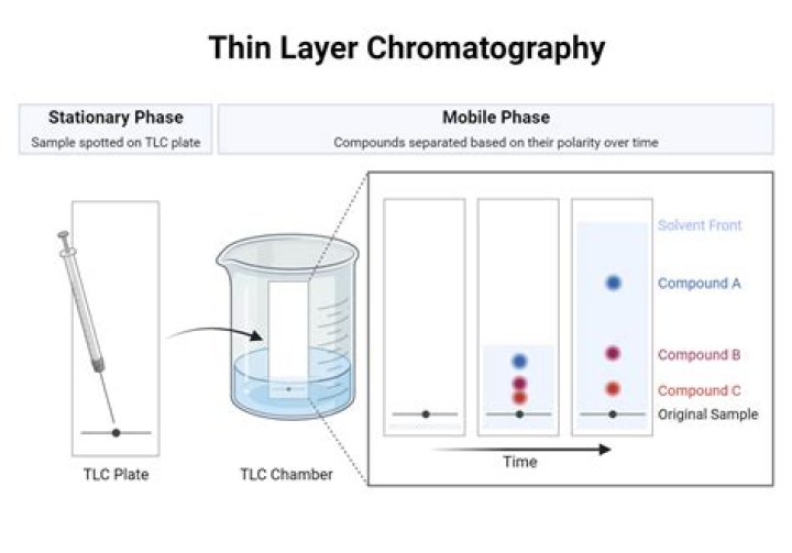 Where is thin layer chromatography used