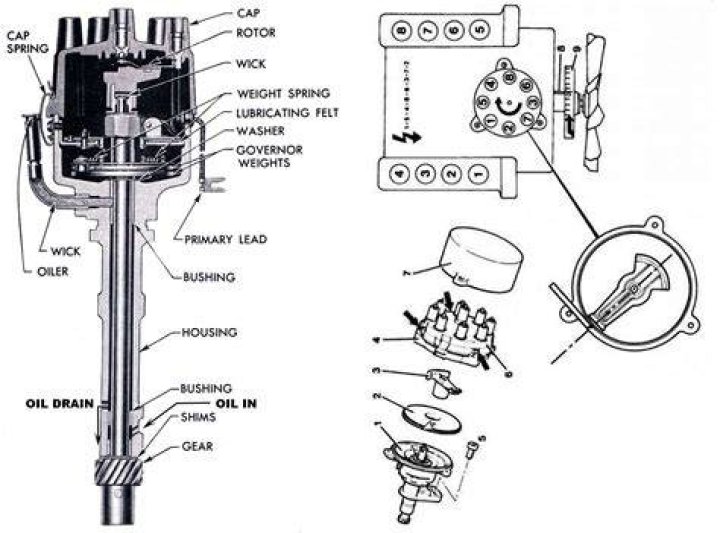 Where should the distributor rotor point