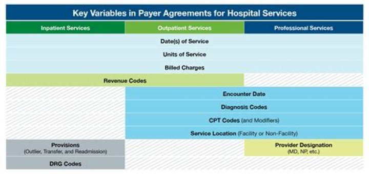 Which code set is used to determine the physician services