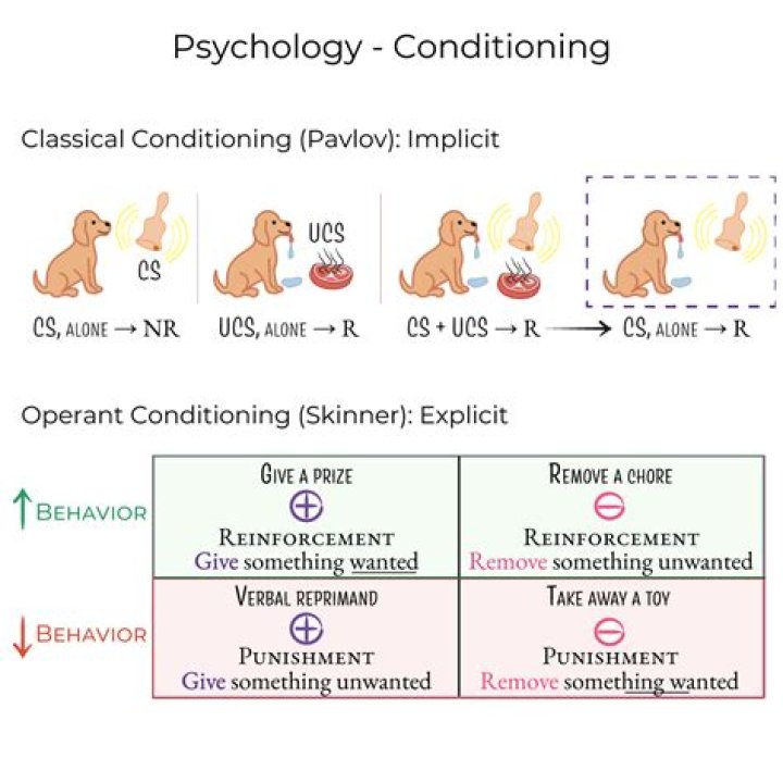 Who is associated with operant conditioning