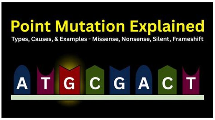 Why are frameshift mutations likely to cause more problems than a point mutation
