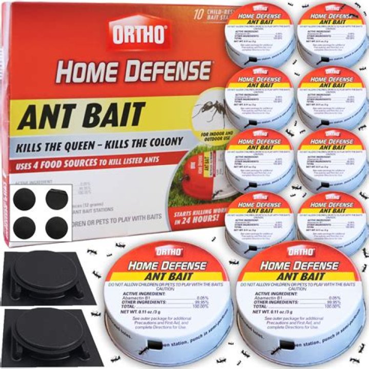Why do ants avoid ant traps