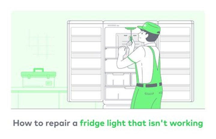 Why does the Dometic fridge light not turn on?