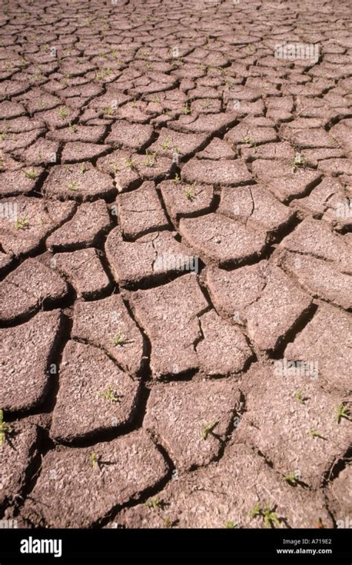 Why does the ground crack in a drought