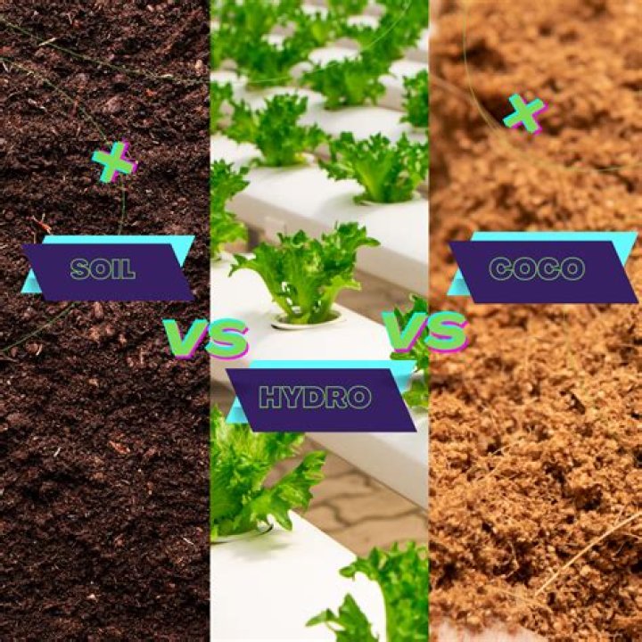 Why is Hydro better than soil