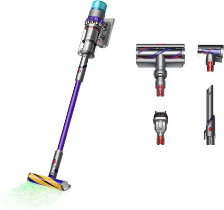 Why is my Dyson screaming