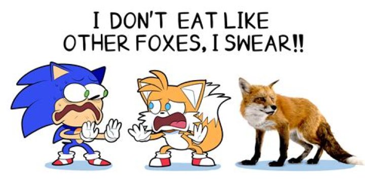 Will a fox eat a turkey