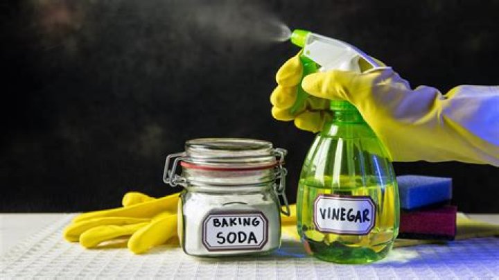Will baking soda and vinegar kill plants