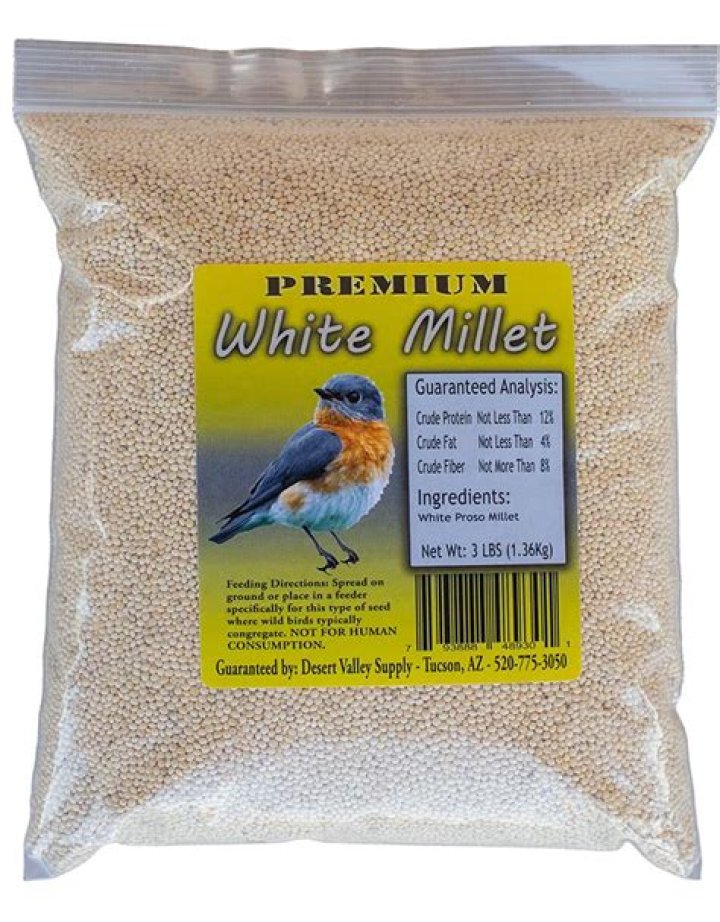 Will millet bird seed grow